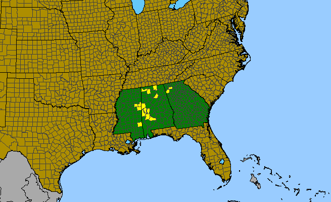 The range of Thalictrum debile